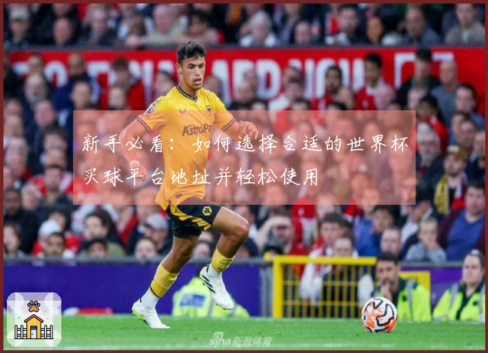 新手必看：如何选择合适的世界杯买球平台地址并轻松使用