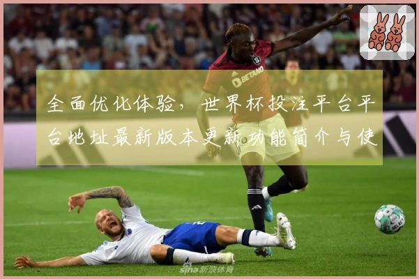 全面优化体验，世界杯投注平台平台地址最新版本更新功能简介与使用指南