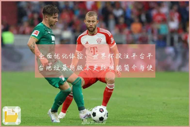全面优化体验，世界杯投注平台平台地址最新版本更新功能简介与使用指南