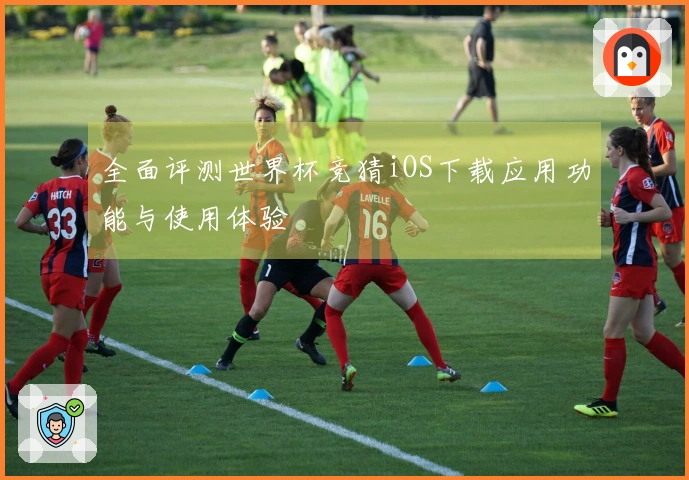 全面评测世界杯竞猜iOS下载应用功能与使用体验